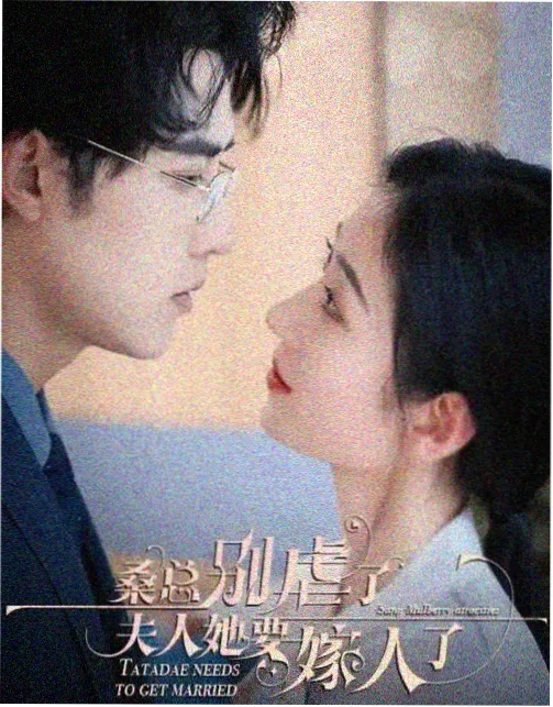 云海孤鸿 封面